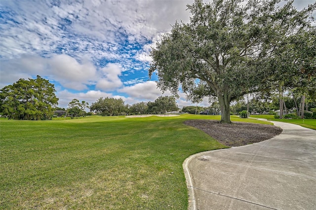 view of community featuring a lawn