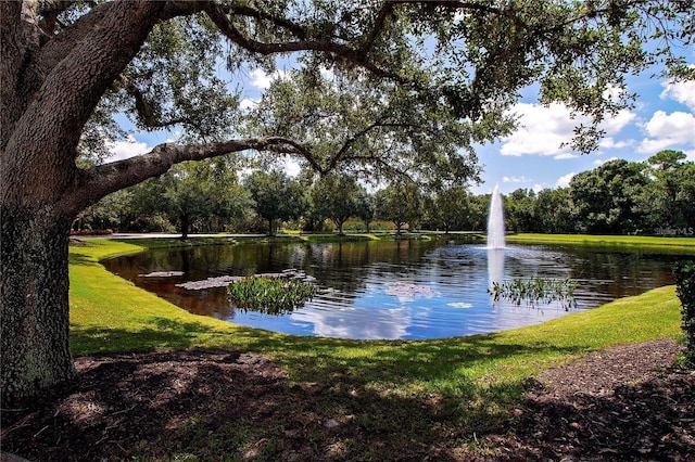 view of property's community with a water view and a yard