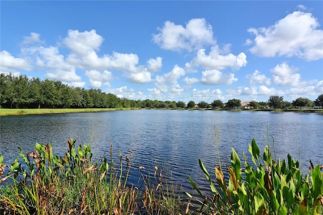 view of water feature