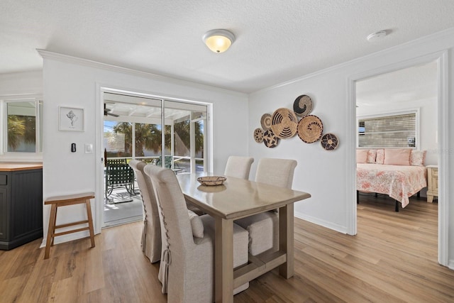 dining space featuring crown molding, light hardwood / wood-style flooring, and a textured ceiling