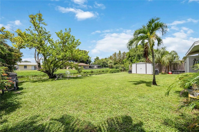 view of yard featuring a shed