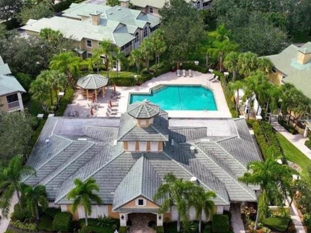 view of swimming pool featuring a patio