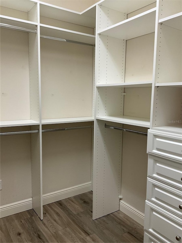 spacious closet featuring dark hardwood / wood-style floors