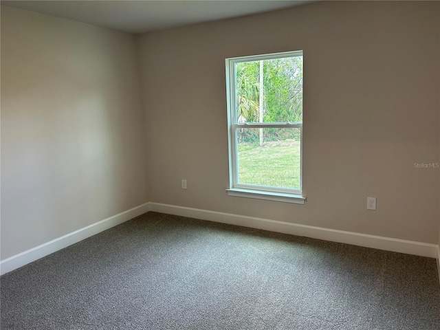 spare room with carpet and a wealth of natural light