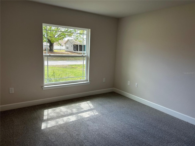 empty room featuring carpet and a healthy amount of sunlight