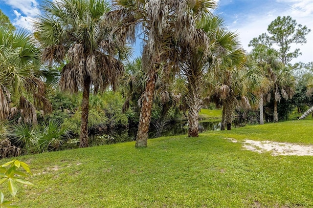 view of yard with a water view