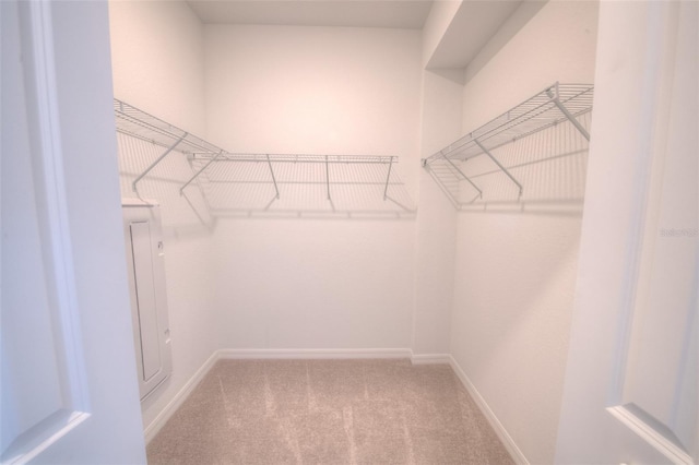 spacious closet featuring carpet floors