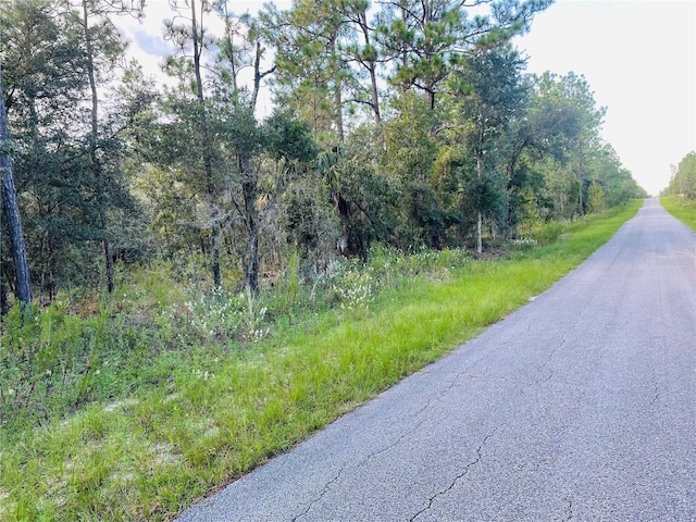 Listing photo 3 for Se 129 Court, Dunnellon FL 34431