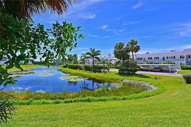 view of community featuring a water view and a yard