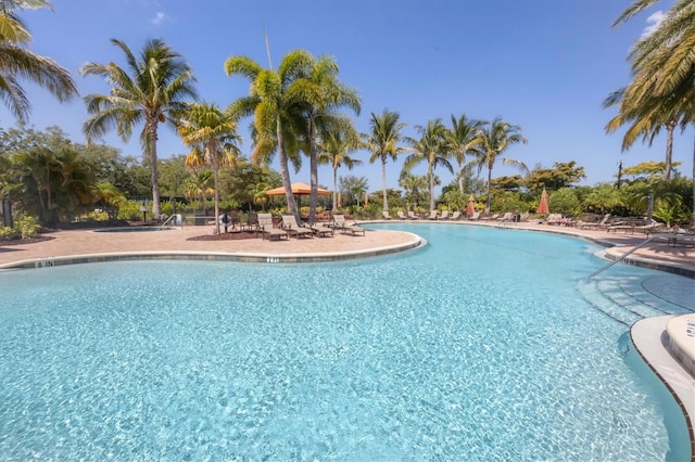 view of pool featuring a patio