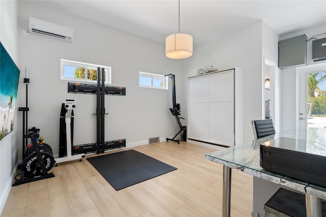 exercise room with light hardwood / wood-style flooring and plenty of natural light