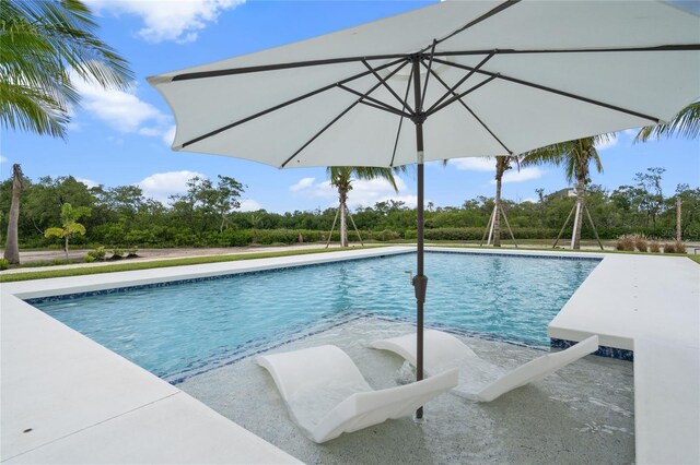 view of swimming pool