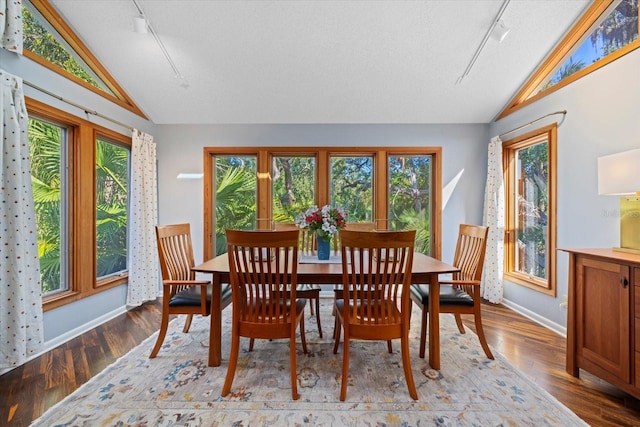 dining area featuring light hardwood / wood-style flooring, a textured ceiling, and vaulted ceiling