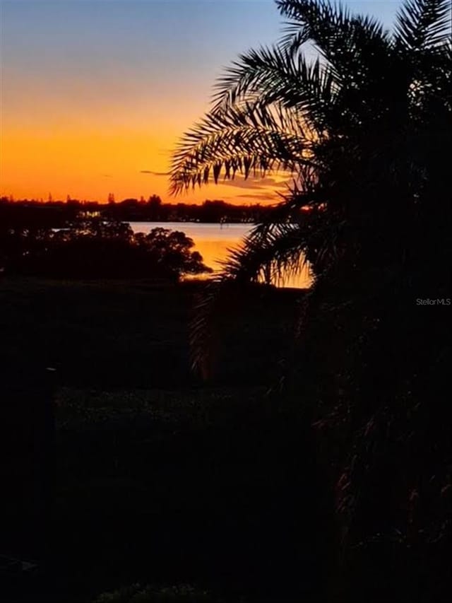 view of nature at dusk