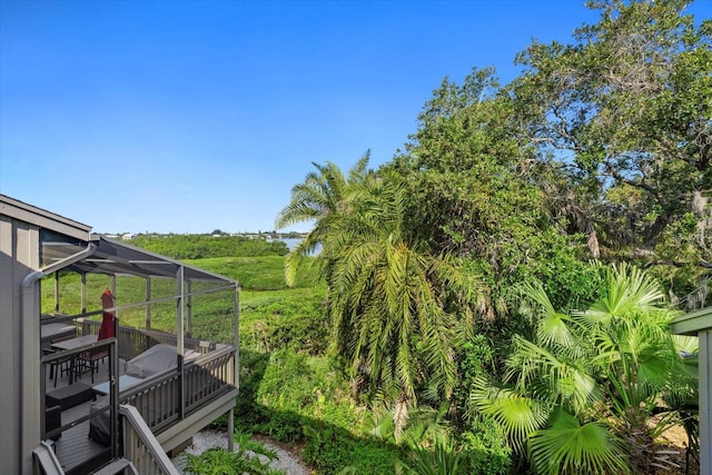 view of yard with a lanai