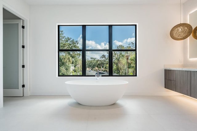 bathroom featuring vanity, a tub to relax in, and a wealth of natural light