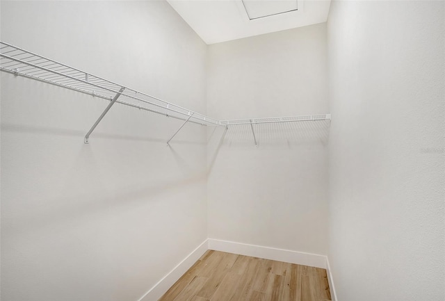 spacious closet with light wood-style flooring