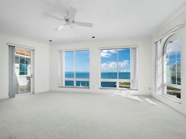 unfurnished room with carpet flooring, plenty of natural light, and a water view