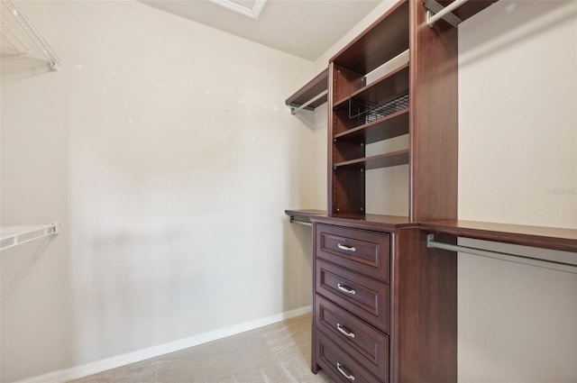 walk in closet with light colored carpet