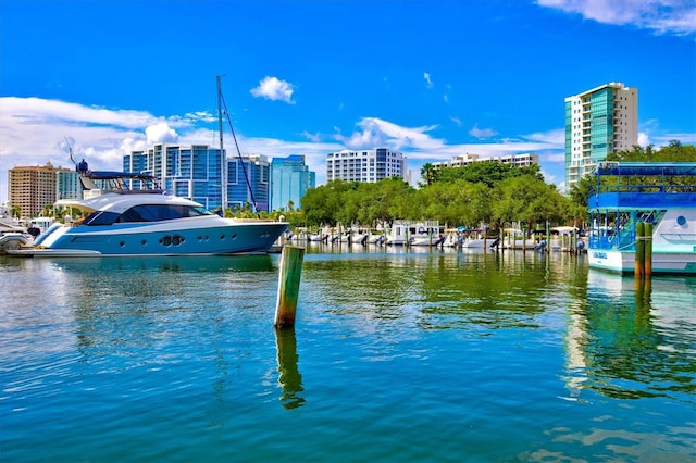 view of water feature with a boat dock