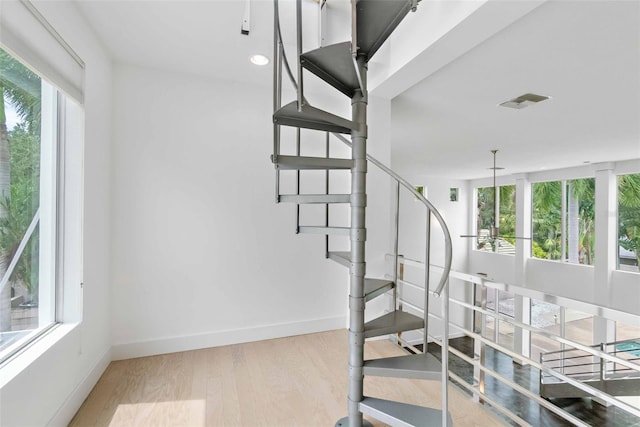 staircase with hardwood / wood-style floors and a healthy amount of sunlight