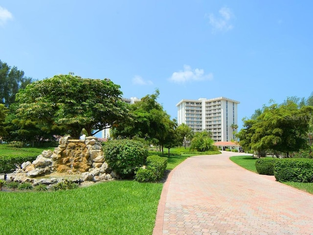 view of community featuring a yard