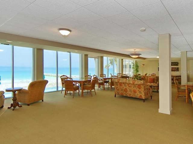 carpeted living room featuring a water view