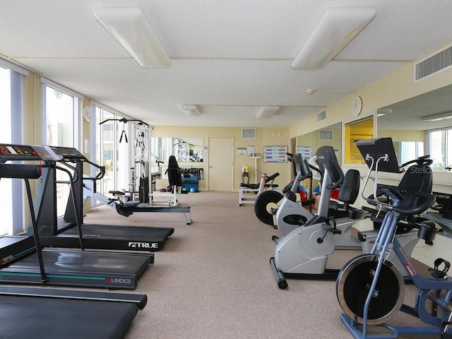 exercise room featuring carpet floors and a textured ceiling