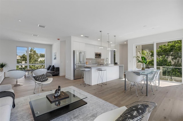 living room with light hardwood / wood-style floors and sink