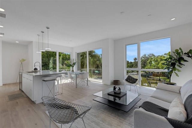 living room with a water view, sink, and light hardwood / wood-style floors