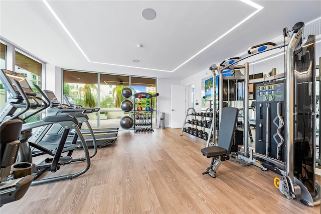 exercise room with light hardwood / wood-style flooring and a wall of windows