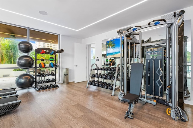 exercise room with a healthy amount of sunlight and hardwood / wood-style floors