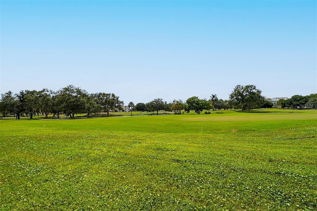 view of property's community with a yard