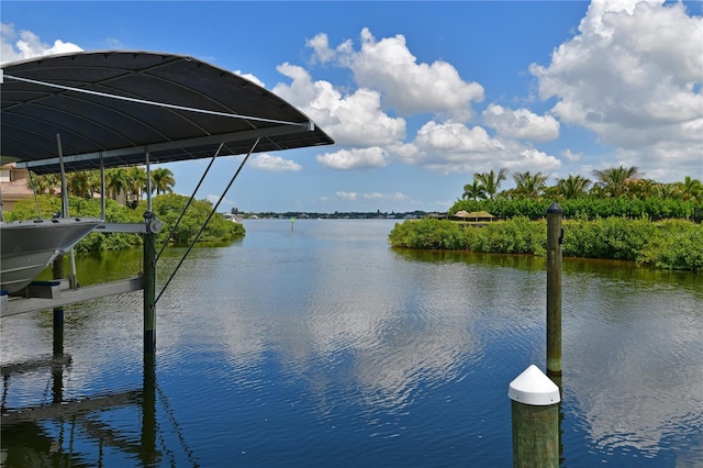 dock area with a water view