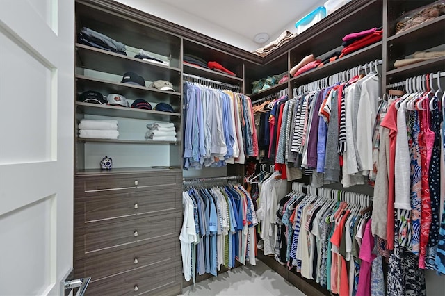 view of spacious closet