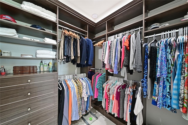 view of walk in closet