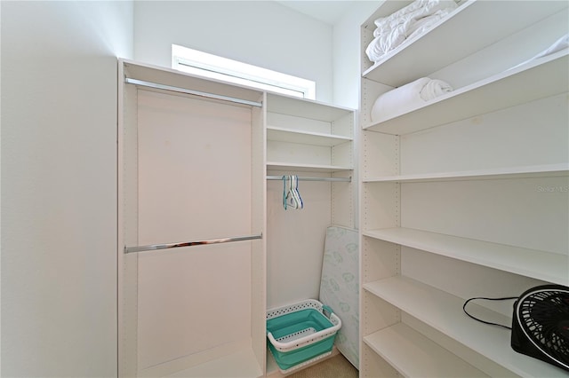 view of spacious closet