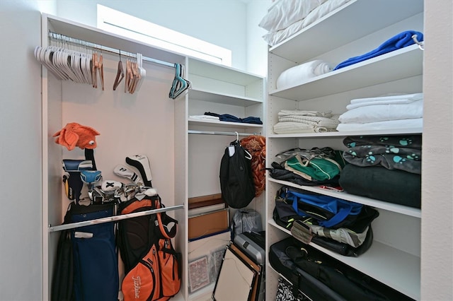 view of walk in closet