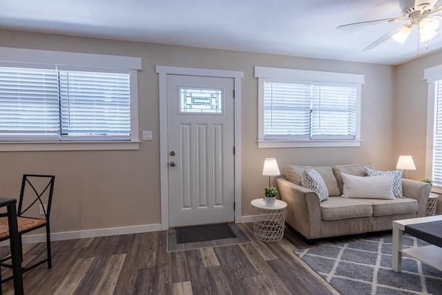 foyer featuring ceiling fan, plenty of natural light, and dark wood-type flooring