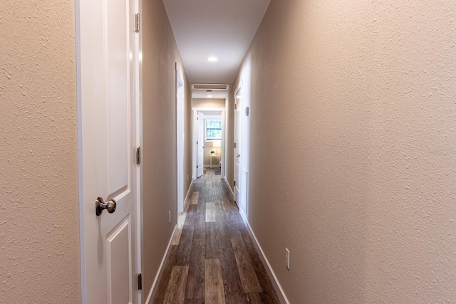 corridor featuring dark hardwood / wood-style flooring