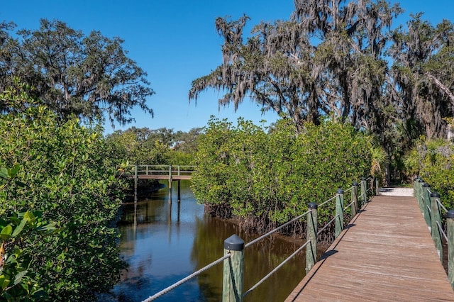 dock area with a water view