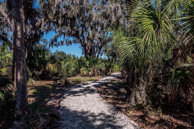 4532 Shark Dr, Bradenton, FL 34208 - view of road