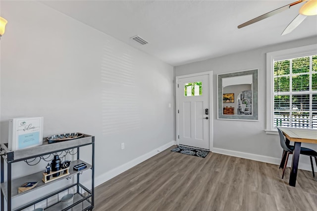 entryway featuring light wood-type flooring, plenty of natural light, and ceiling fan