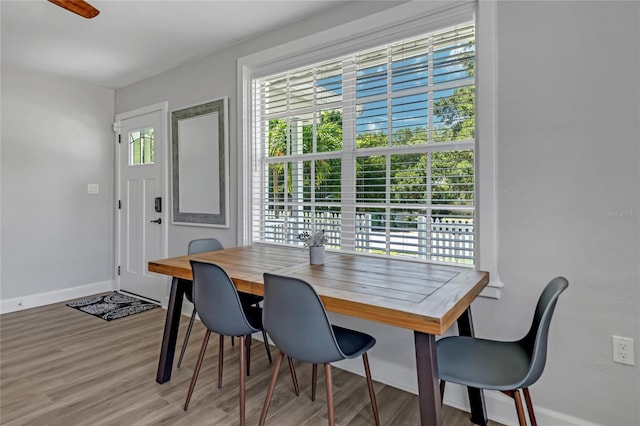 dining space featuring wood-type flooring and ceiling fan