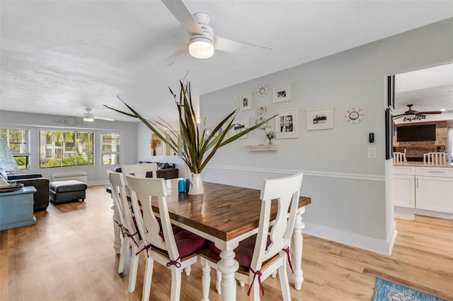 dining room with light hardwood / wood-style flooring and ceiling fan