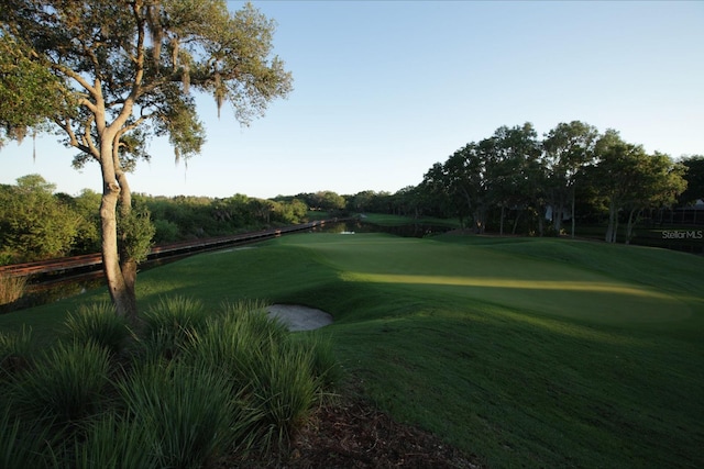 view of property's community featuring a lawn