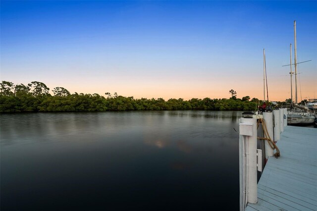 dock area with a water view