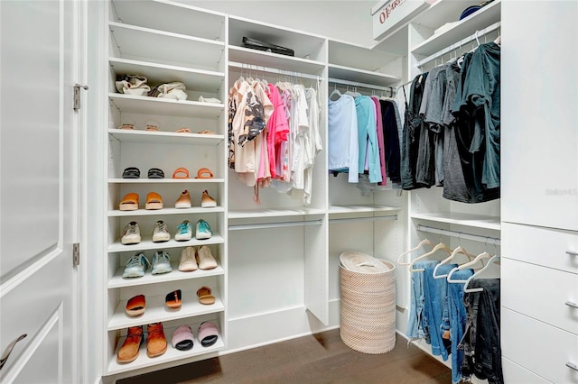 walk in closet featuring hardwood / wood-style flooring