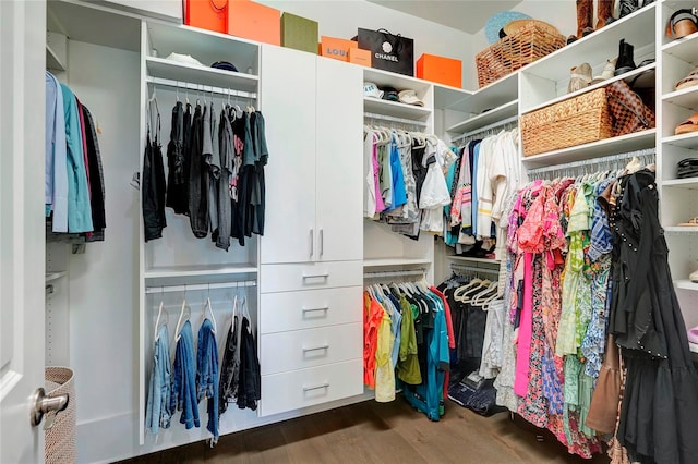 spacious closet featuring dark hardwood / wood-style floors