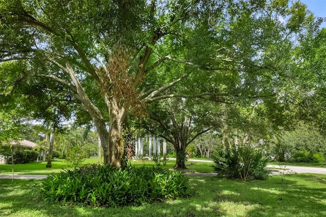 view of home's community with a yard